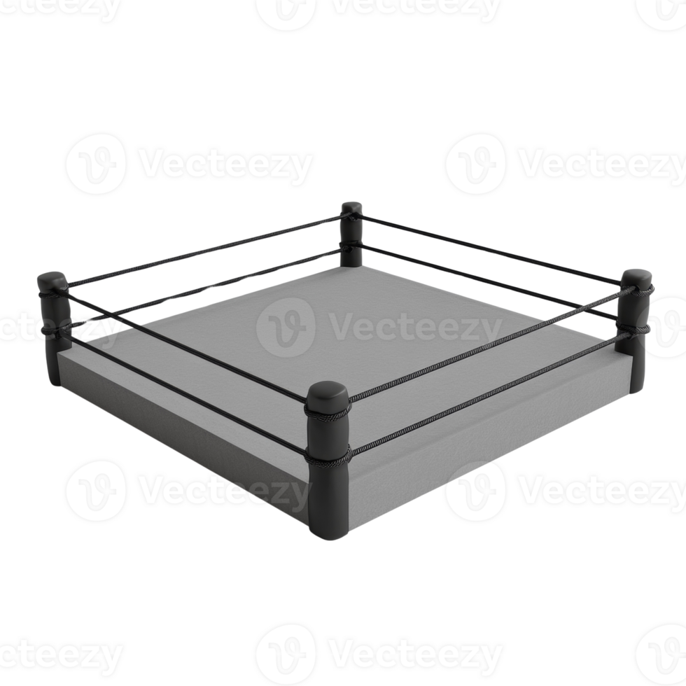 A simple three dimensional model of a wrestling ring png