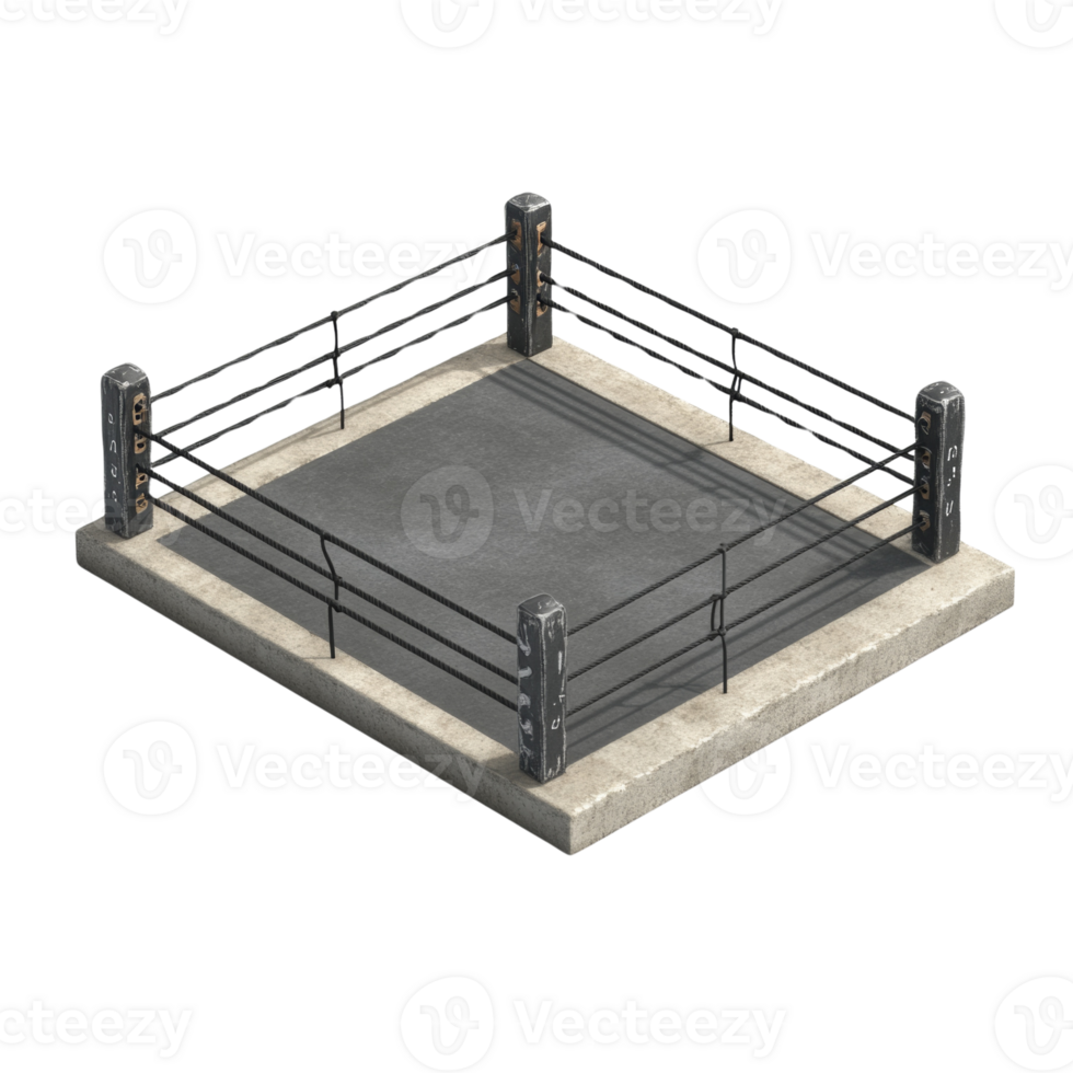 Empty Boxing Ring Awaiting The Fight png