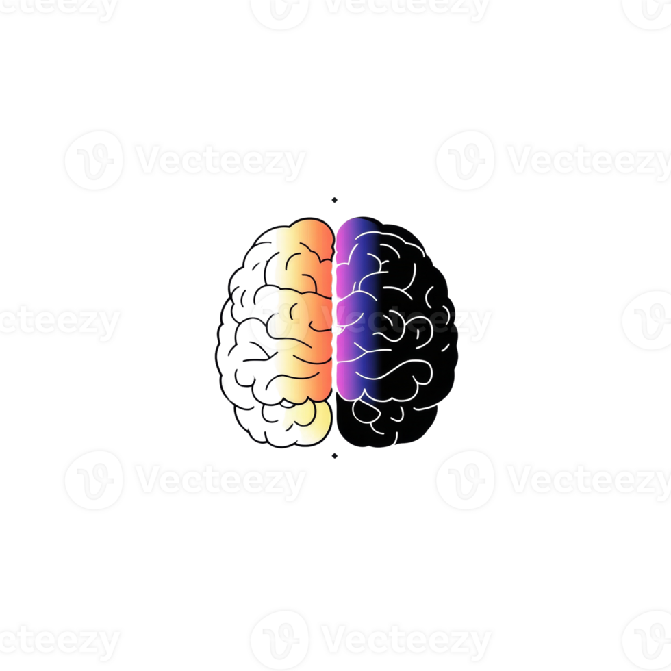 A Bisectioned Brain Illustrates Dual Hemispheres png