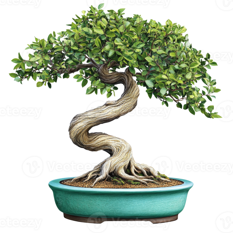A Lush Green Bonsai Tree in a Teal Pot png