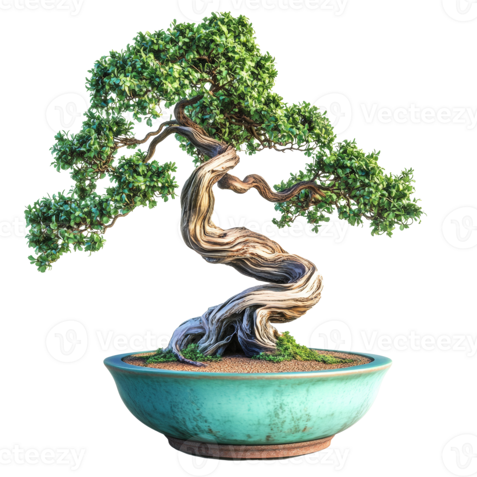 Elegant Bonsai Tree in Teal Pot Shows Twisted Branches png