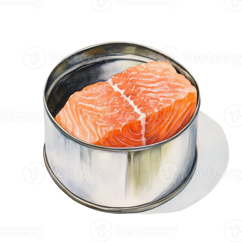 Raw Salmon Fillet in a Metal Tin png