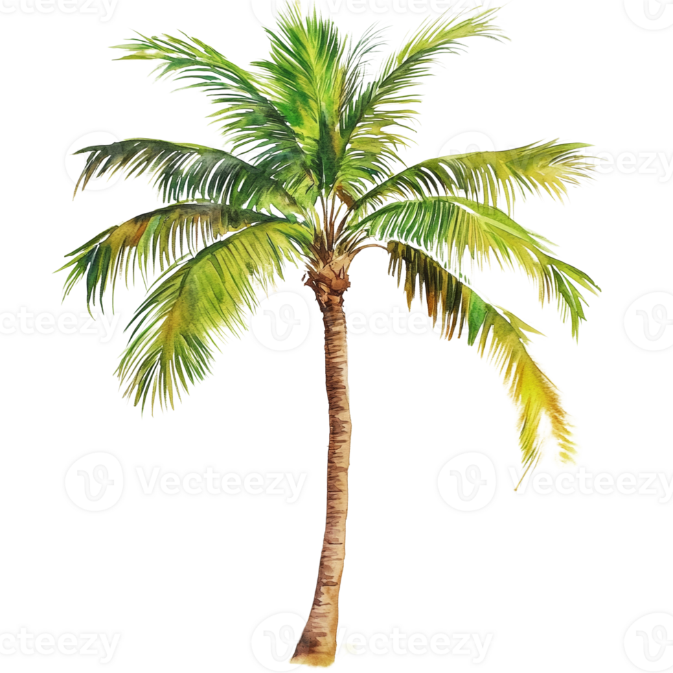 Watercolor Painting of a Single Palm Tree png