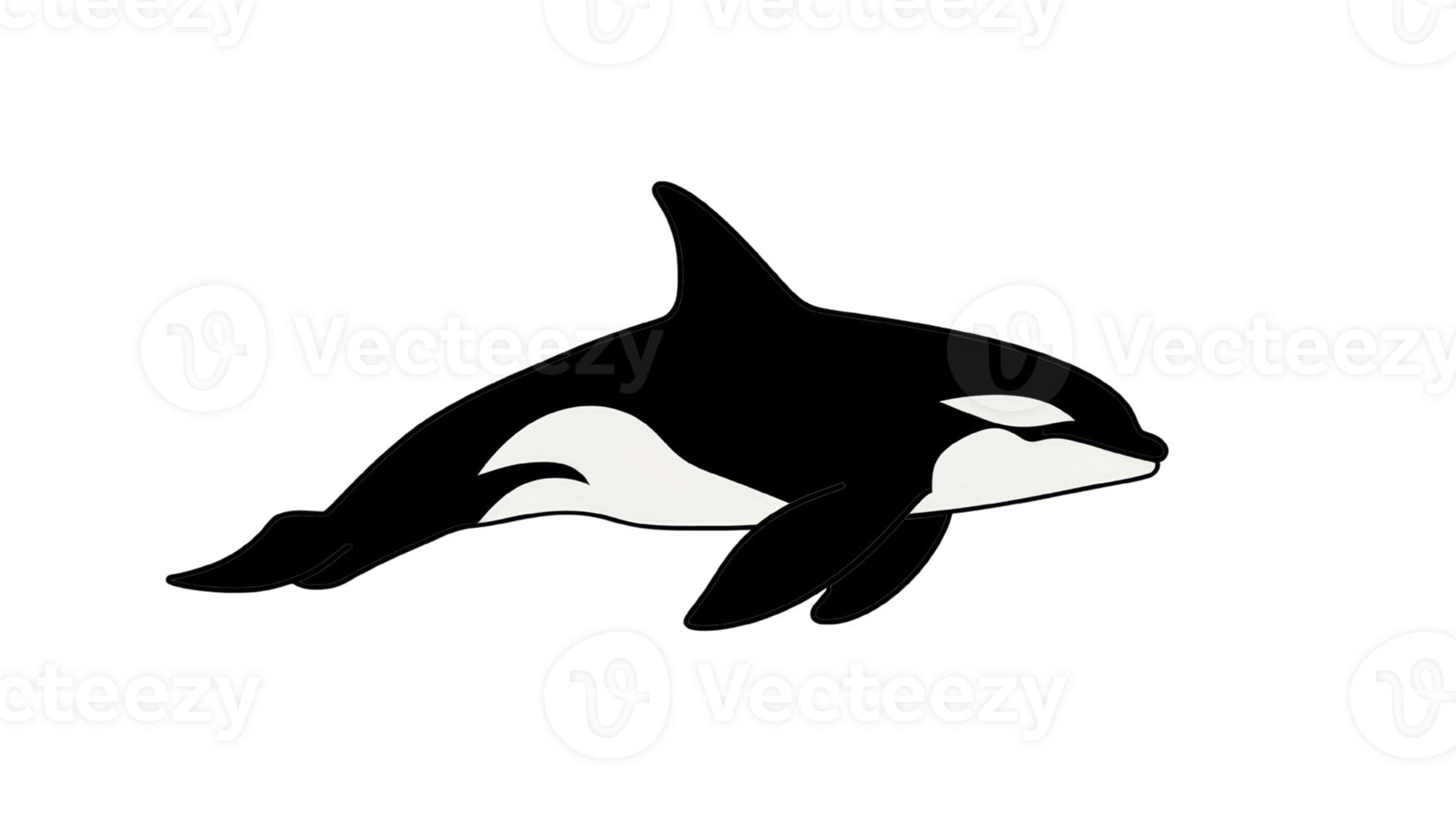 A stylized illustration of a killer whale swimming png