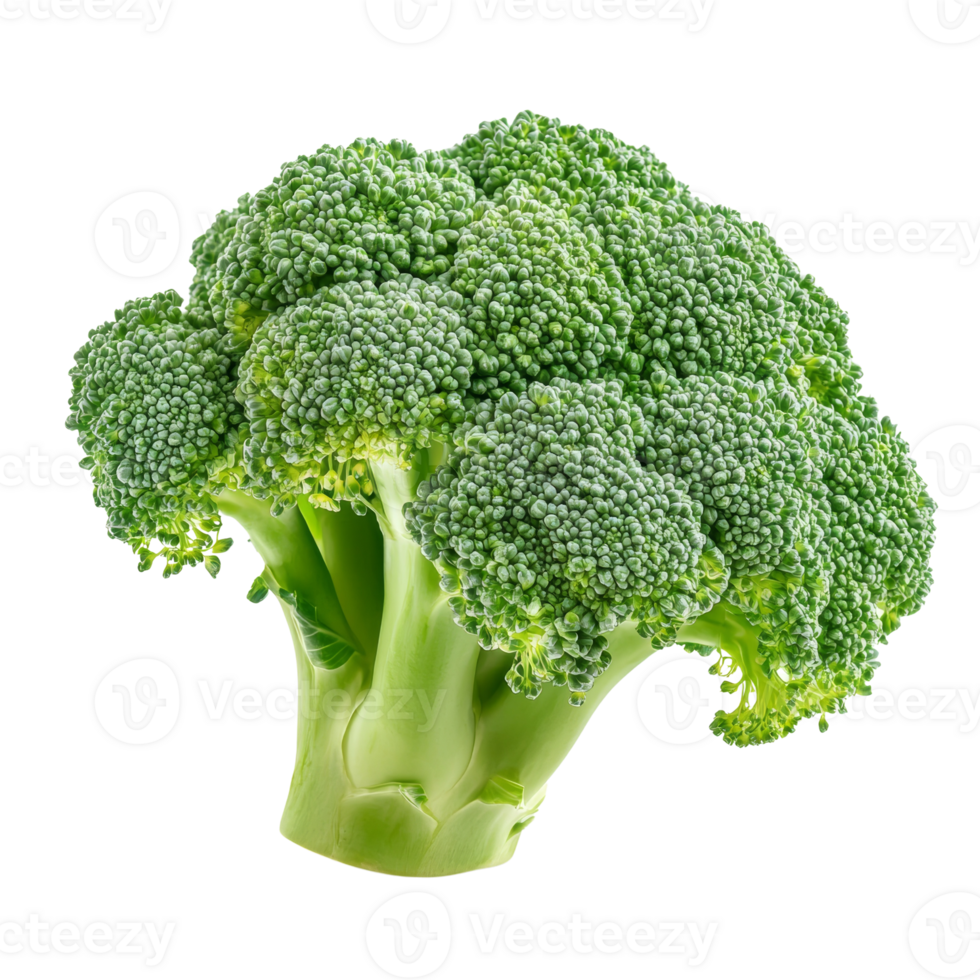 A Fresh Green Broccoli Floret Isolated On Black png