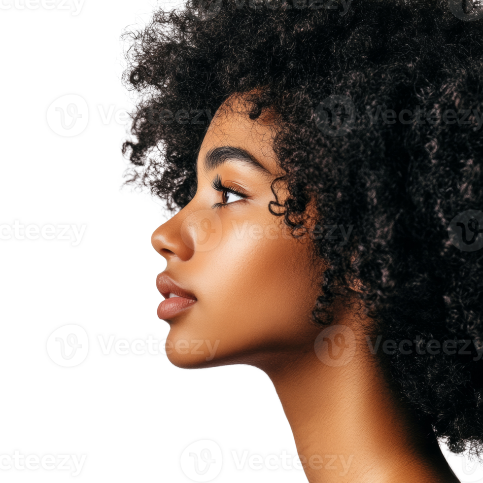 Profile of a woman with a large afro hairstyle png