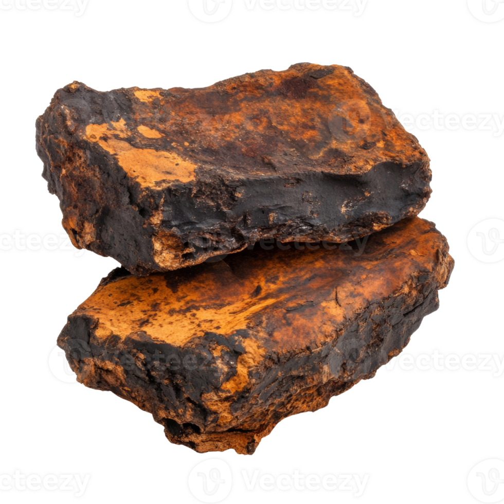 Two pieces of chaga mushroom showing orange and black hues png