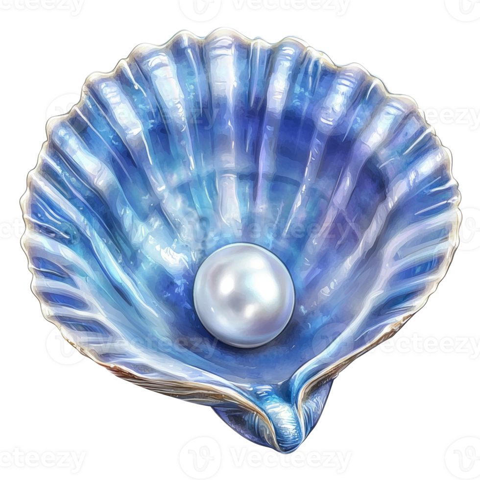 A lustrous pearl rests inside a blue seashell png