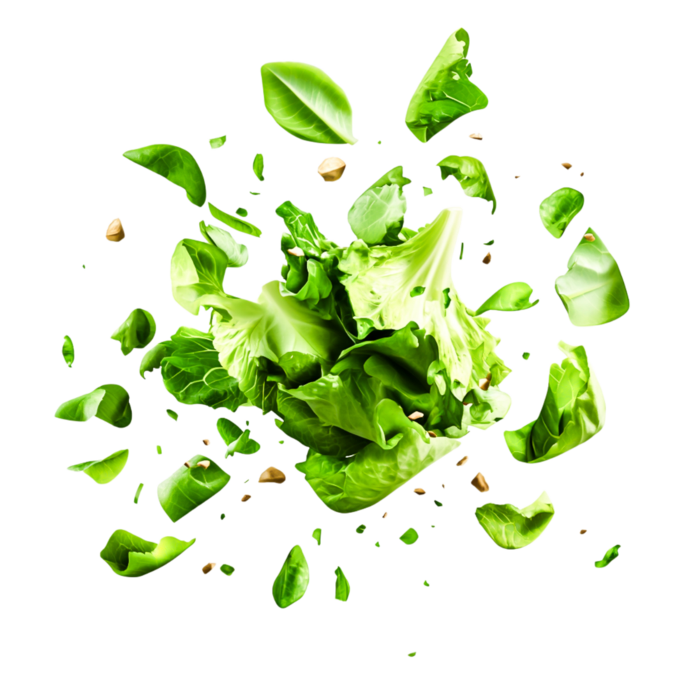 Fresh Green Lettuce Leaves and Sprouts in Dynamic Motion png