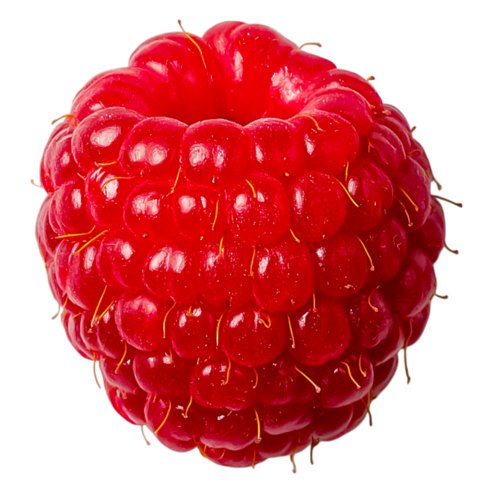 Fresh Red Raspberry Isolated on for Culinary Use png