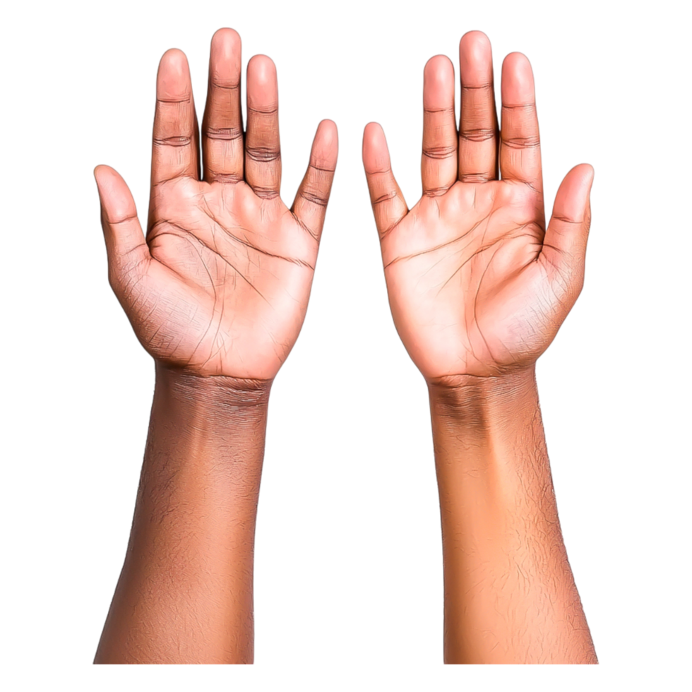Close-up of Open Hands Showing Different Gestures and Skin Tones png