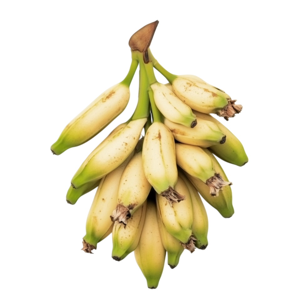 Fresh bunch of small ripe bananas symbolizing nutrition and the tropical sweetness of natures bounty png