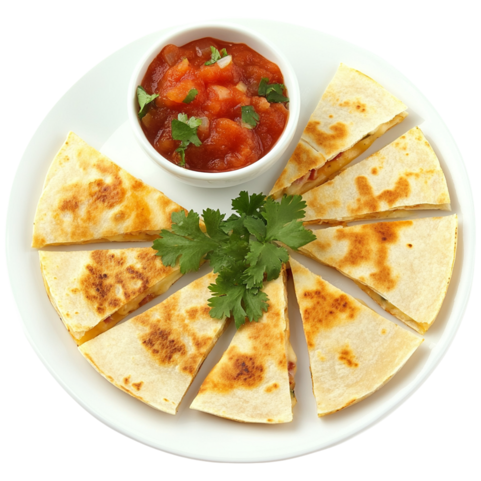 Golden crispy quesadilla slices served with fresh salsa and cilantro make a mouthwatering dish bringing together bold flavors and a satisfying crunch png