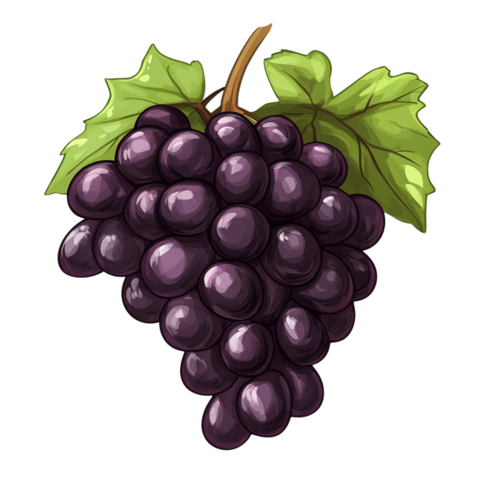 Bunch of fresh purple grapes with a green stem is plump juicy and arranged in a cluster png