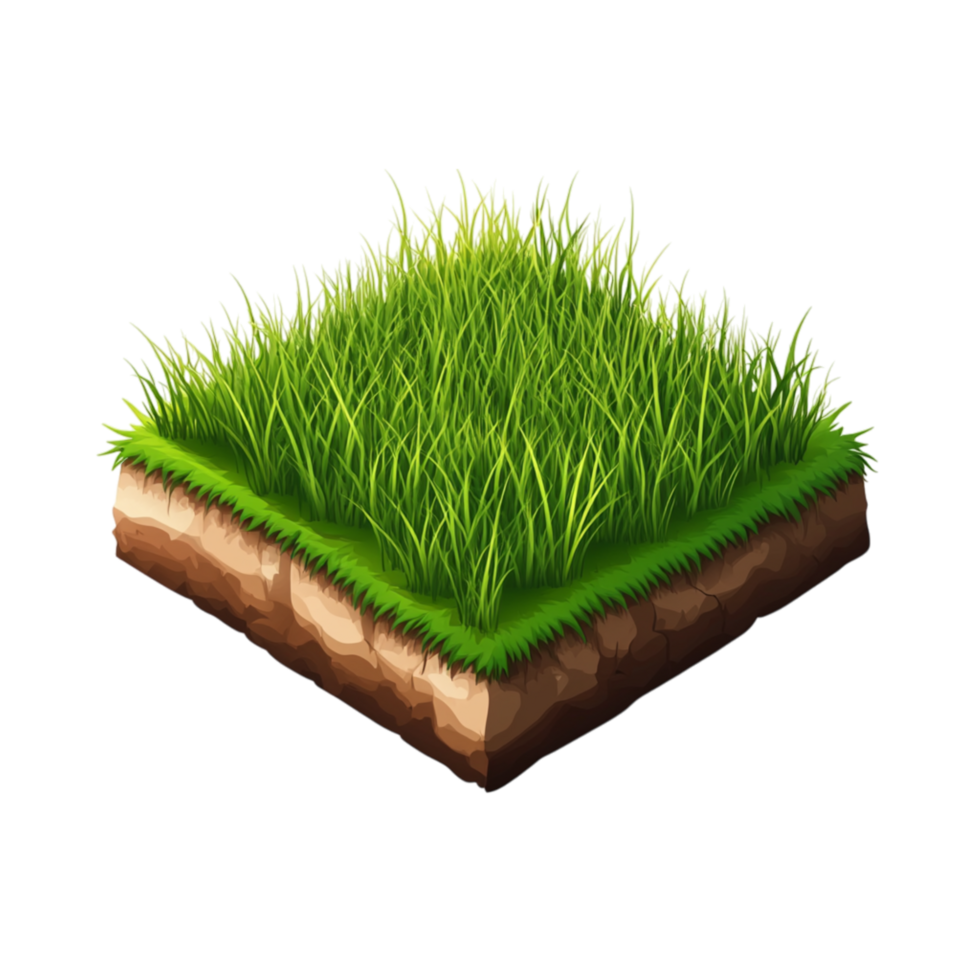 Small patch of green grass with a section of soil visible underneath representing nature and fresh greenery png