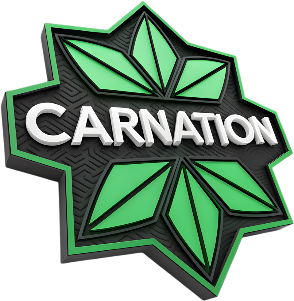 Love and Acceptance in a Gorgeous Green Carnation Clipart. . png