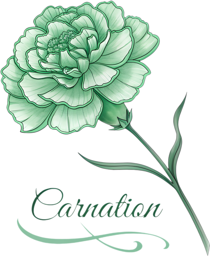 Green Carnation LGBTQ Clipart Expressing Strength and Unity. . png