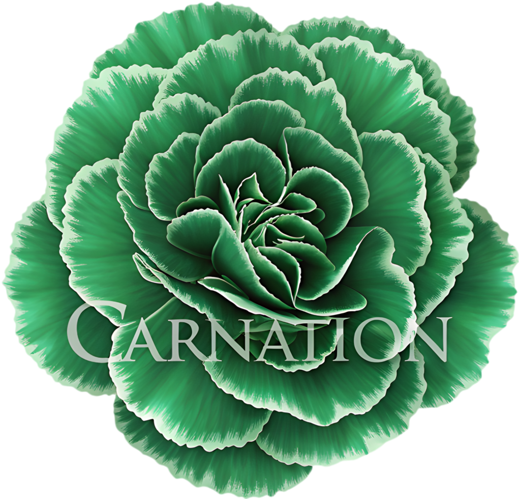Beautiful LGBTQ Symbol of Love Featuring a Green Carnation. . png