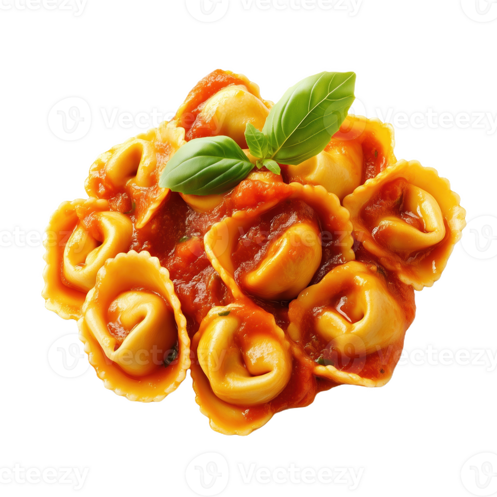 Delicious tortellini served in rich tomato sauce with fresh basil garnish png