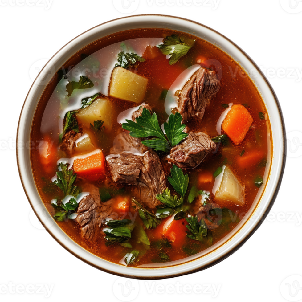Lifelike preparation of sup de carne beef soup with fresh vegetables in a bowl png