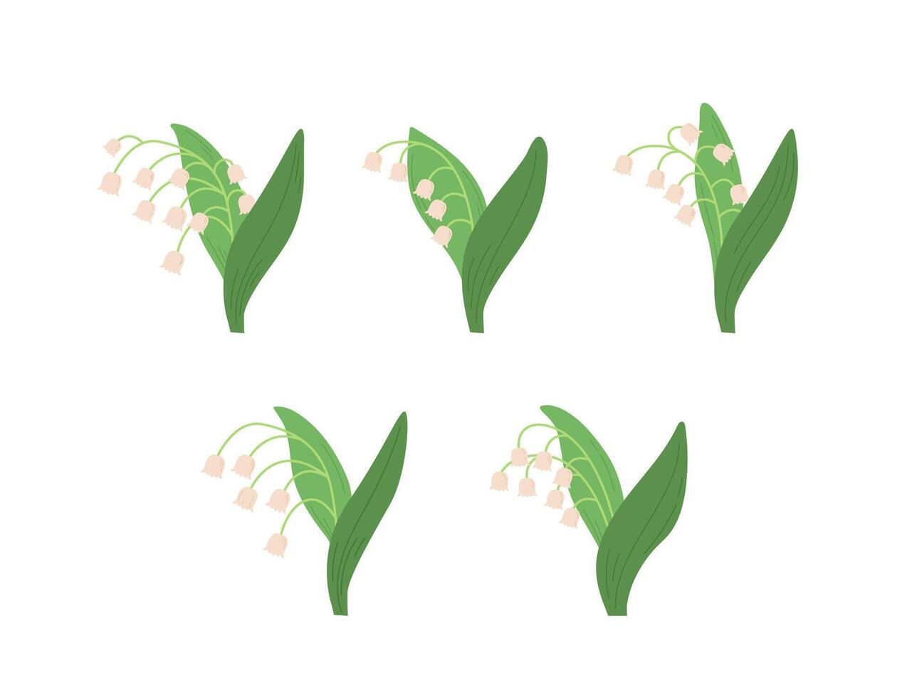 Set of Lily of the valley or Convallaria flowers on white background. Spring wildflower illustration vector