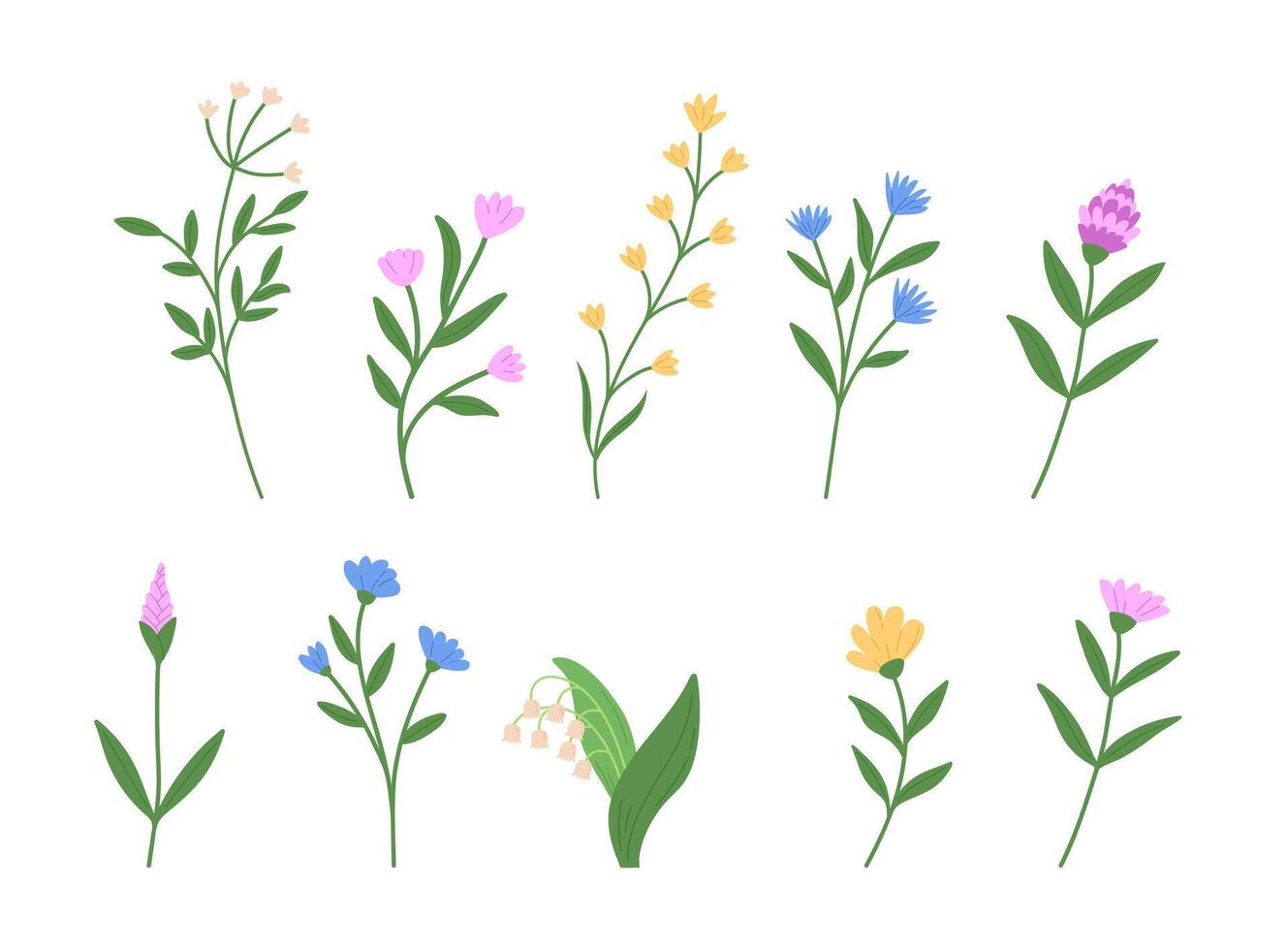 Set of spring blossom flowers clipart in hand draw style. Wildflowers illustration vector