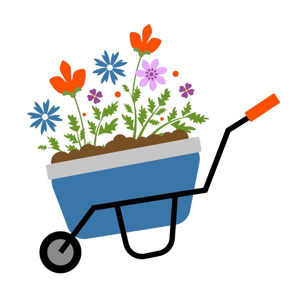 A wheelbarrow with spring flowers on a white background. Garden tools vector
