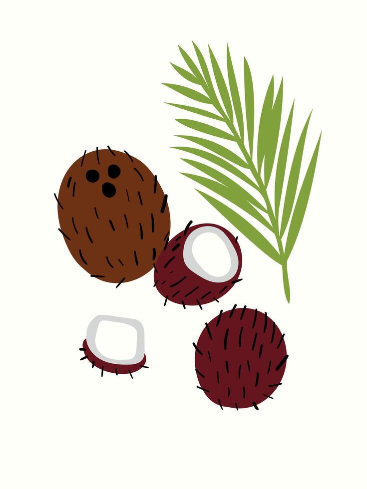 Abstract coco fruits in modern artistic styles. Great for posters, cards, covers, and trendy t-shirt designs. vector