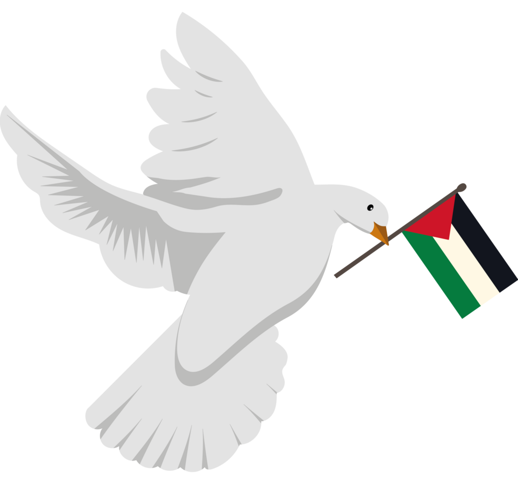 Dove hold Palestine flag icon illustration png