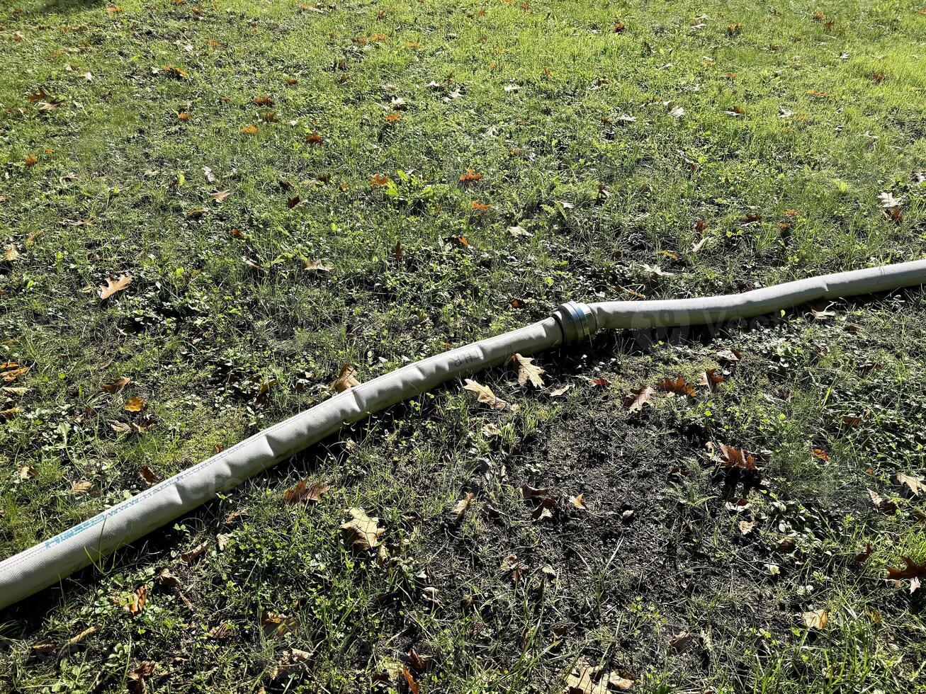 Flexible gray hose on green grass lawn with fallen leaves photo