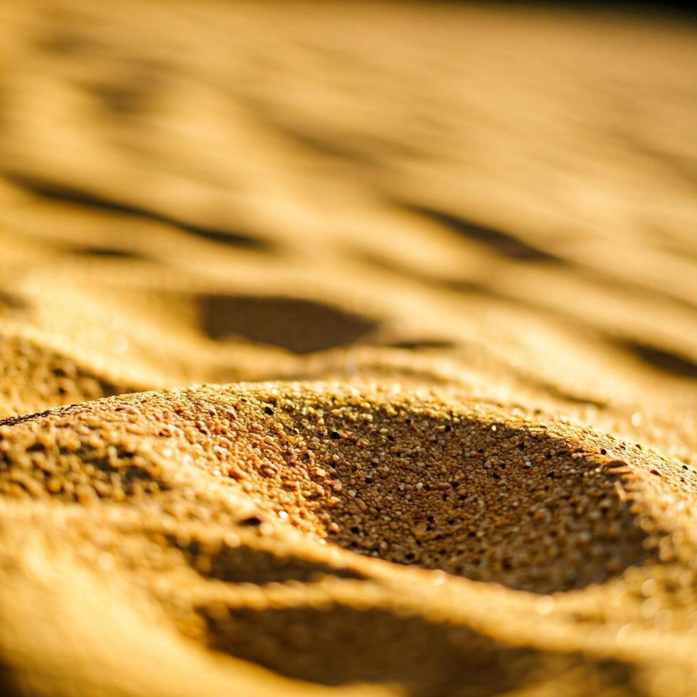 A stretch of yellow sand photo