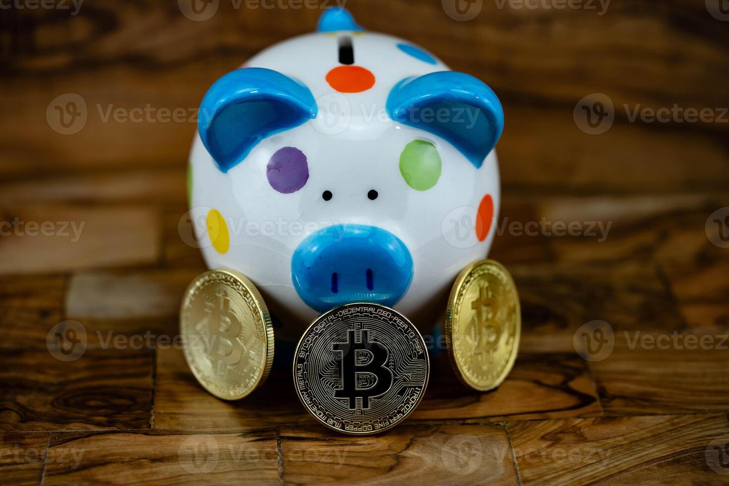 Cryptocurrency for the Piggy Bank frontview photo