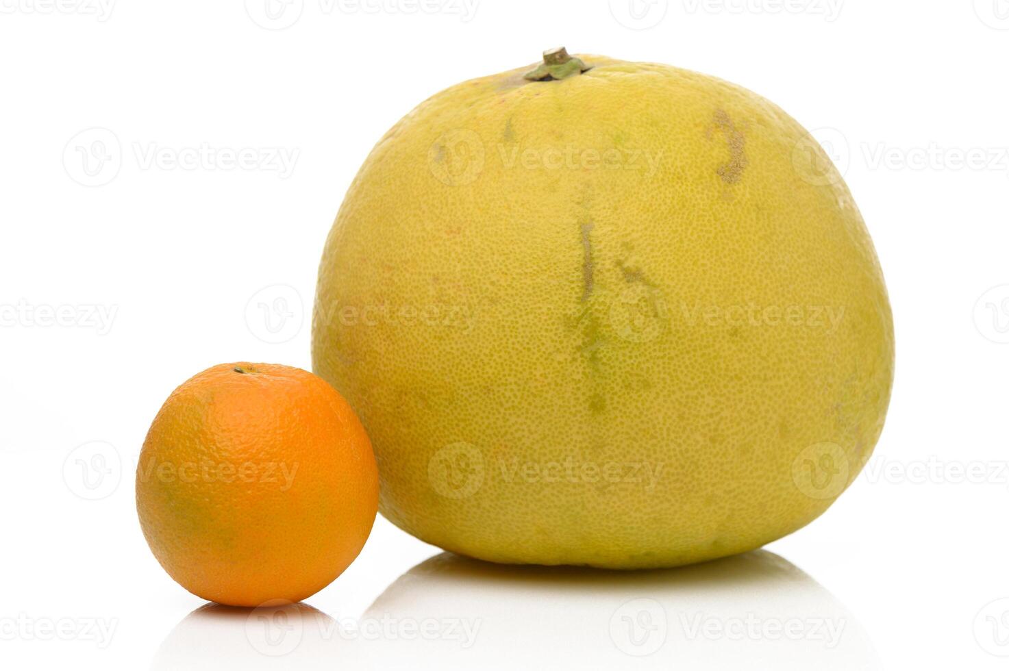 Unique citrus display featuring a large pomelo beside a smaller orange on a clean white background photo
