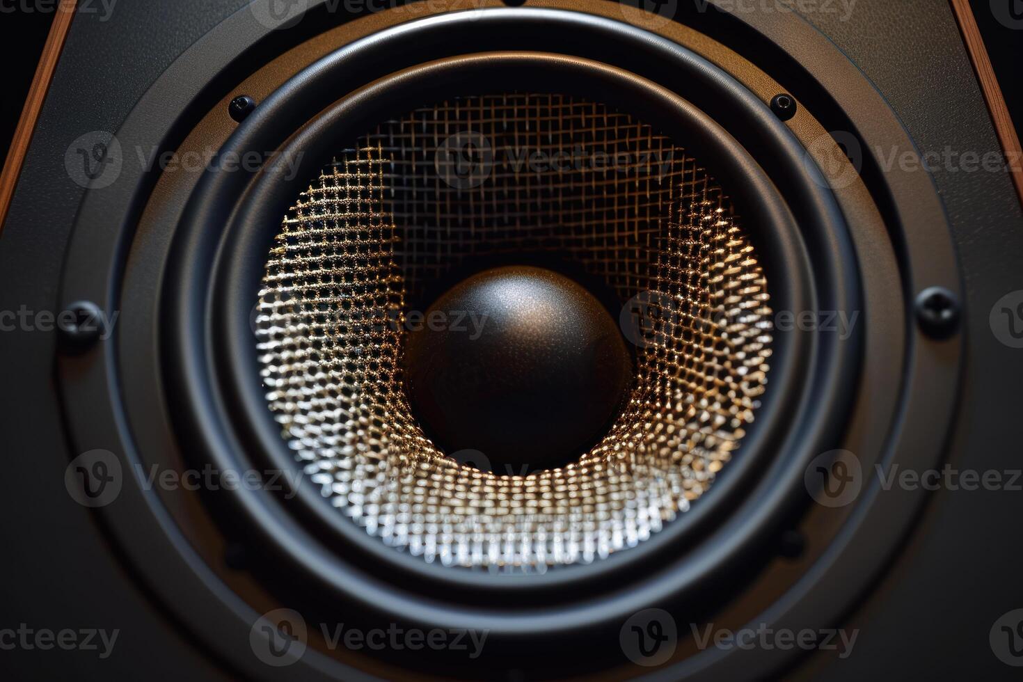 Close up of a speaker diaphragm vibrating with music photo