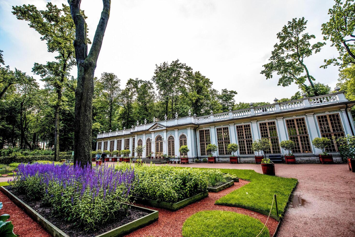 Saint Petersburg, Russia, Jule 2017, lovely Summer Garden Museum in city center photo