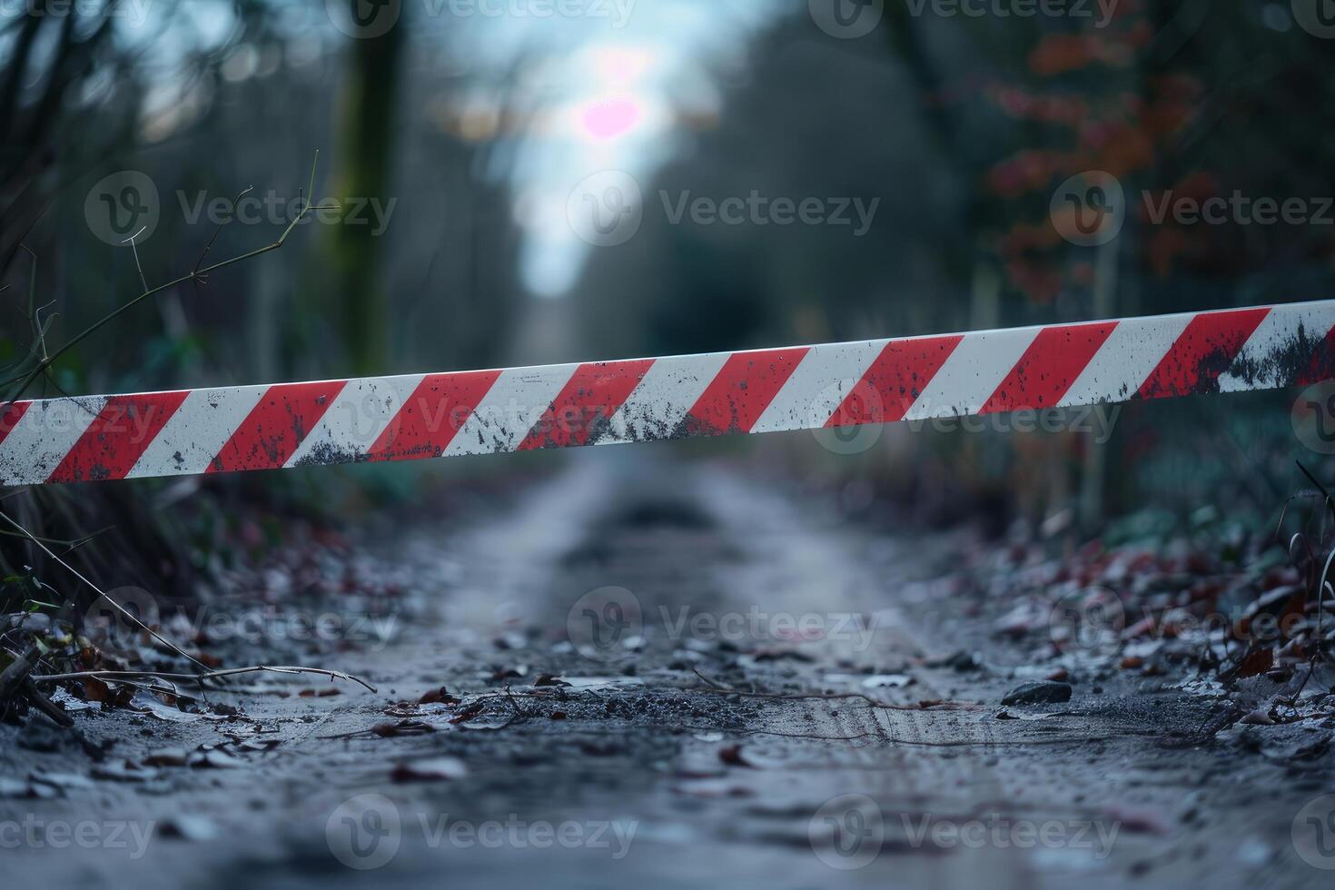 Red and white striped barrier tape blocking muddy road in forest photo