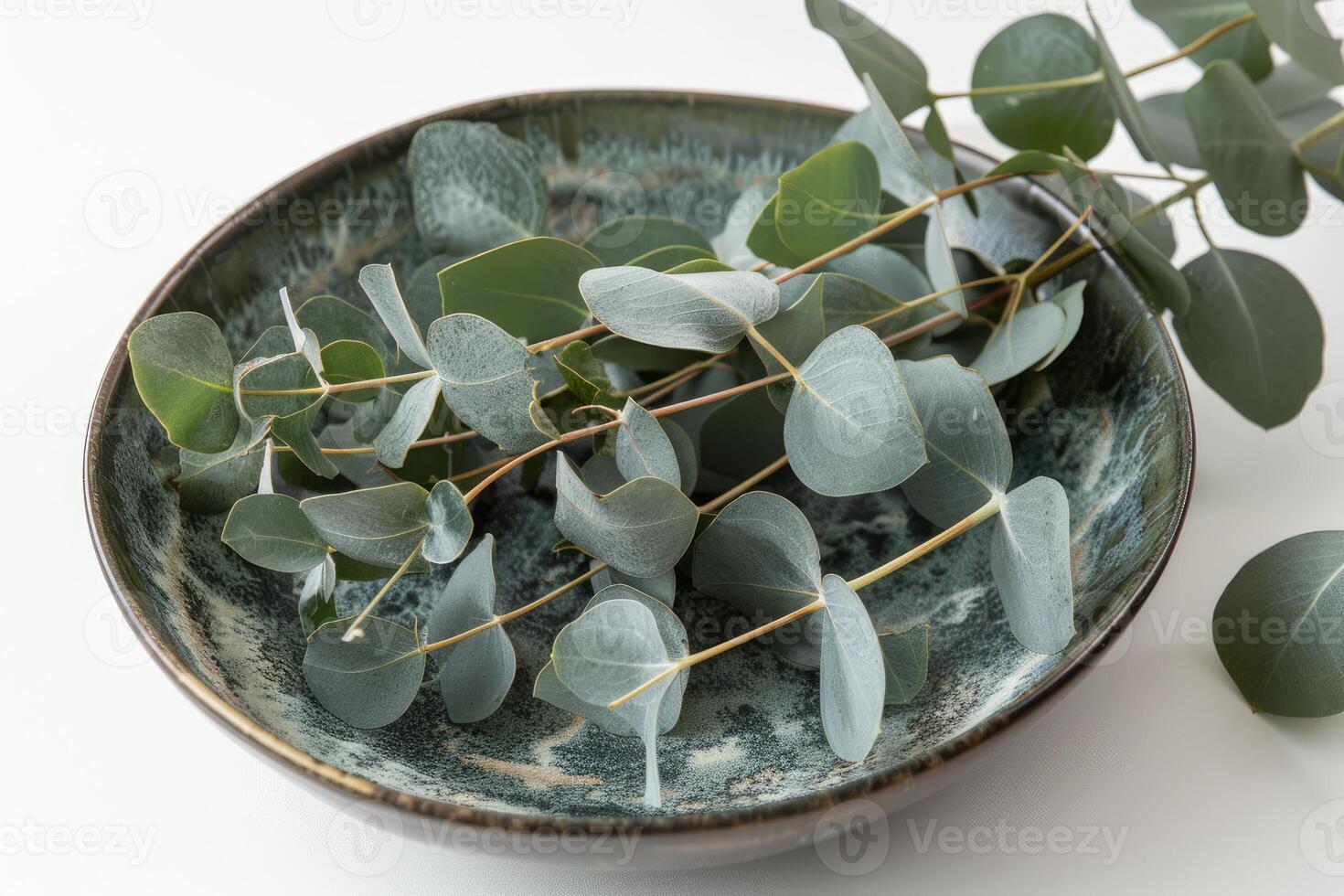 Eucalyptus leaves resting on ceramic plate on white background photo
