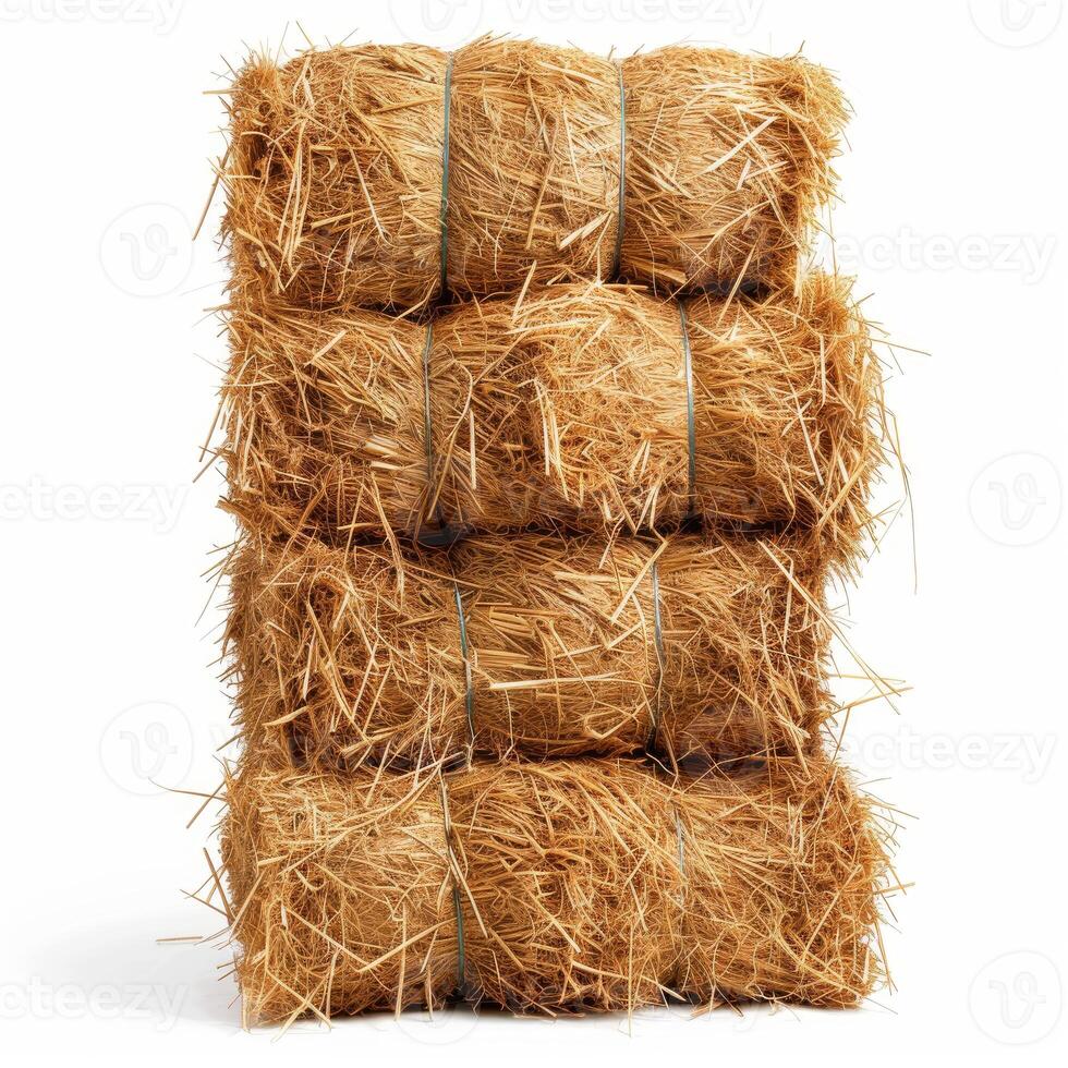 Stack of hay bales tied with string standing isolated on white photo