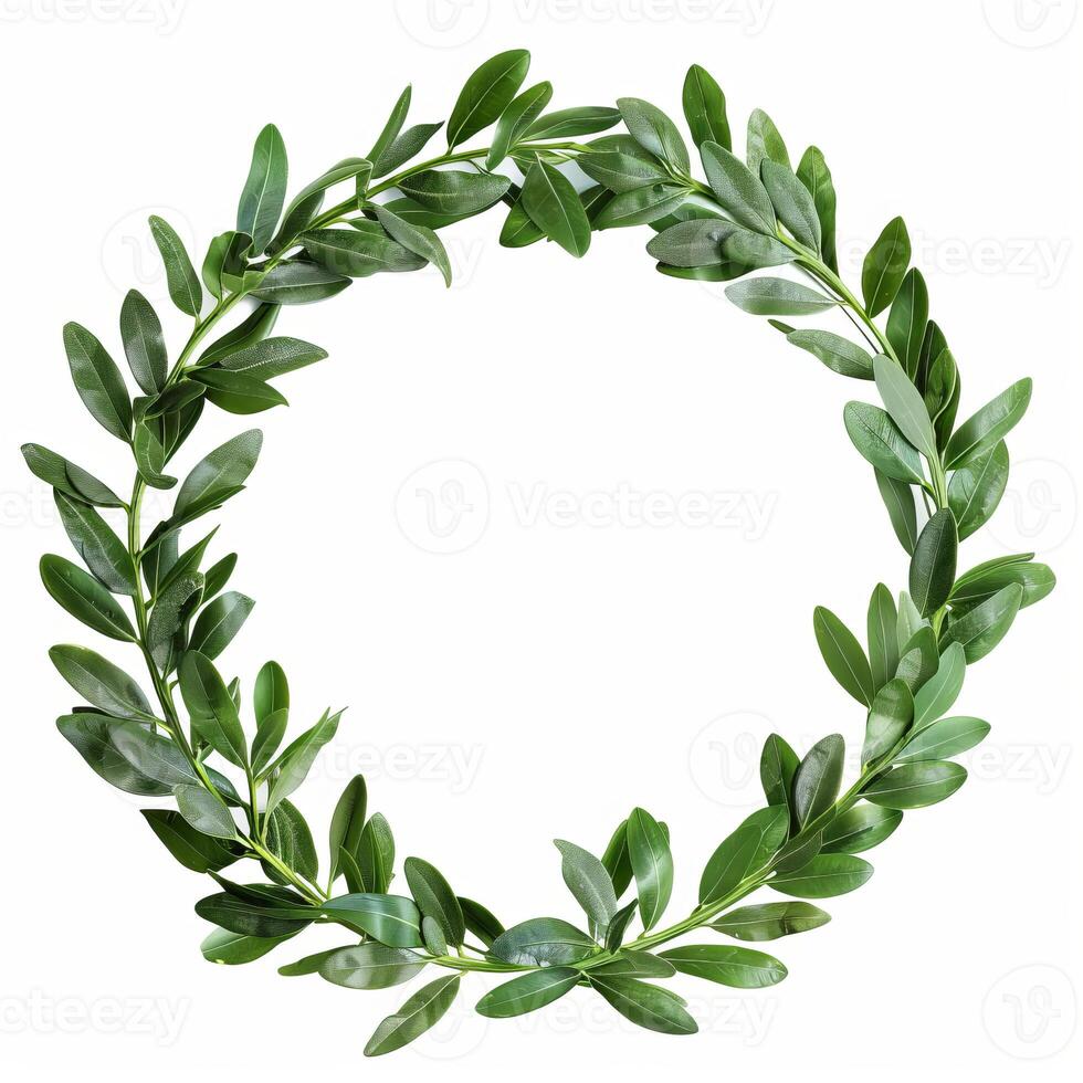 Circular green leaf crown forming empty space on white background photo
