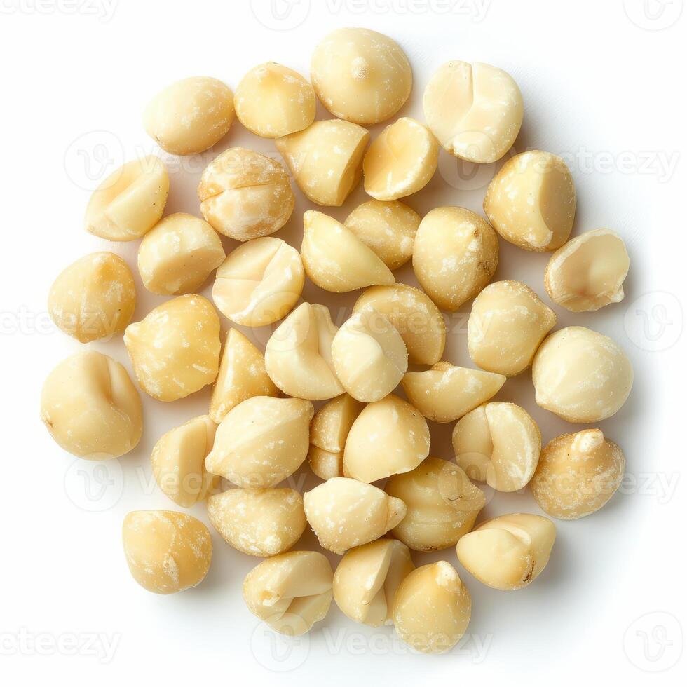 Shelled macadamia nuts forming a circle on white background photo