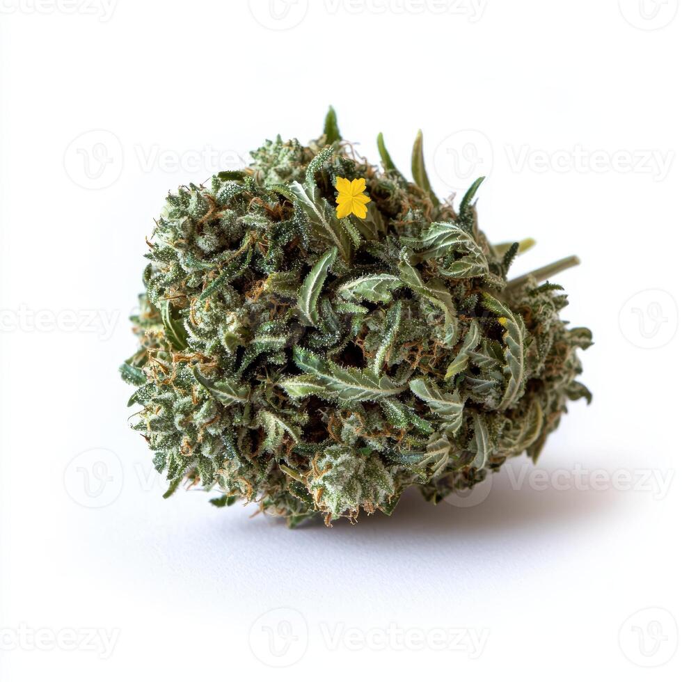 Closeup of a cannabis bud with a small yellow flower photo