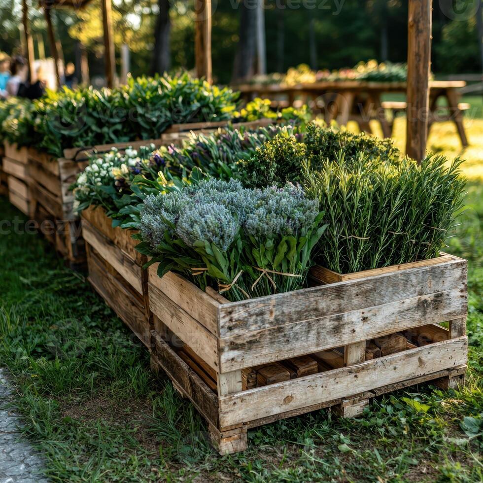 Freshly cut lavender and herbs in rustic wooden crates at a farmers market photo
