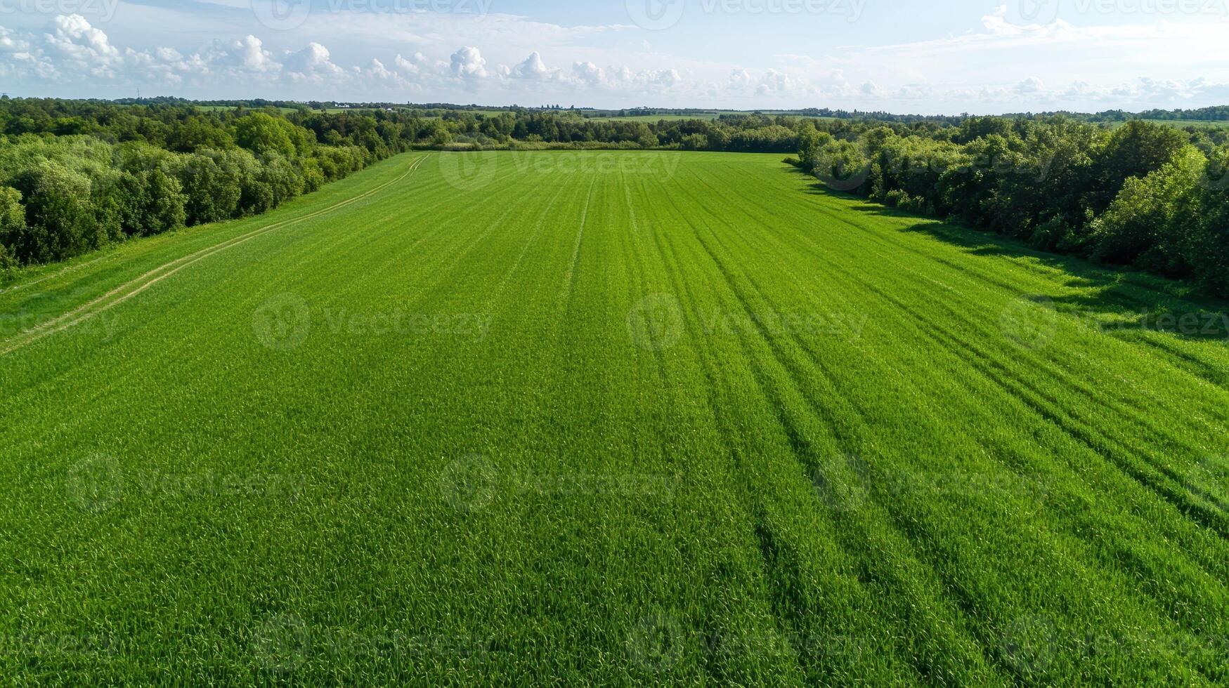 Aerial view of a vast green field bordered by trees under a partly cloudy sky photo