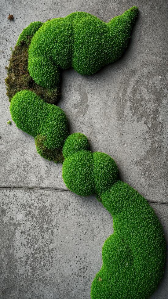 A mossy green plant is sitting on the ground photo