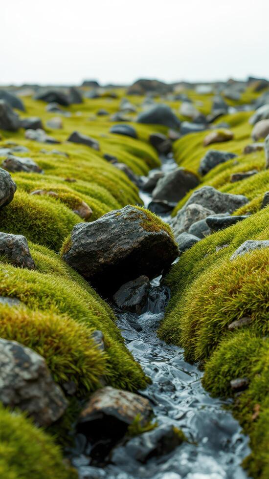 A stream of water running through a field of rocks photo