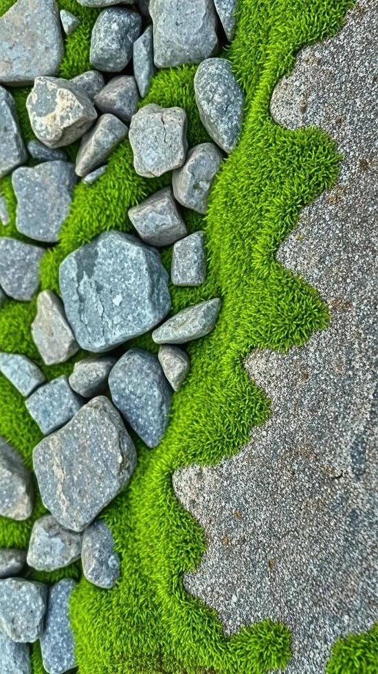 A green moss covered stone wall with rocks photo