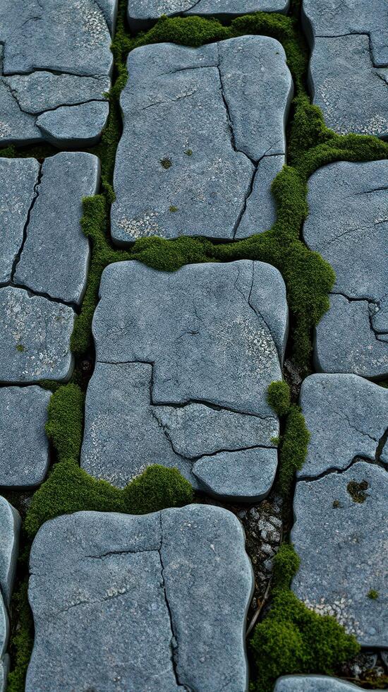 A close up of a stone walkway with moss growing on it photo
