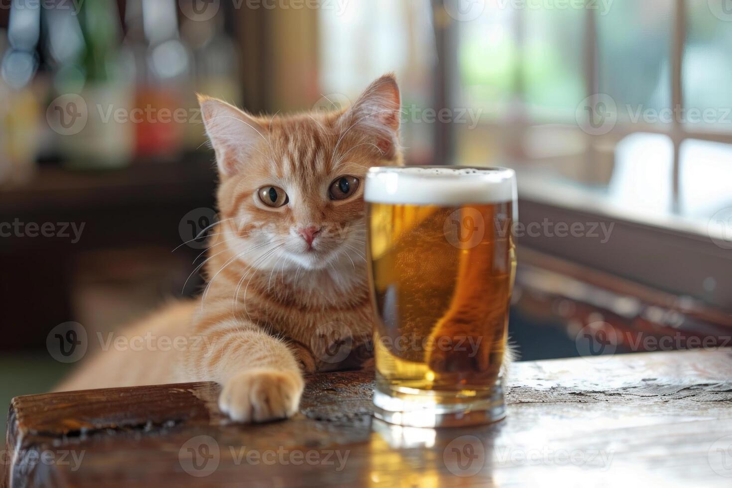 Ginger cat reaching for pint of beer in pub, photo