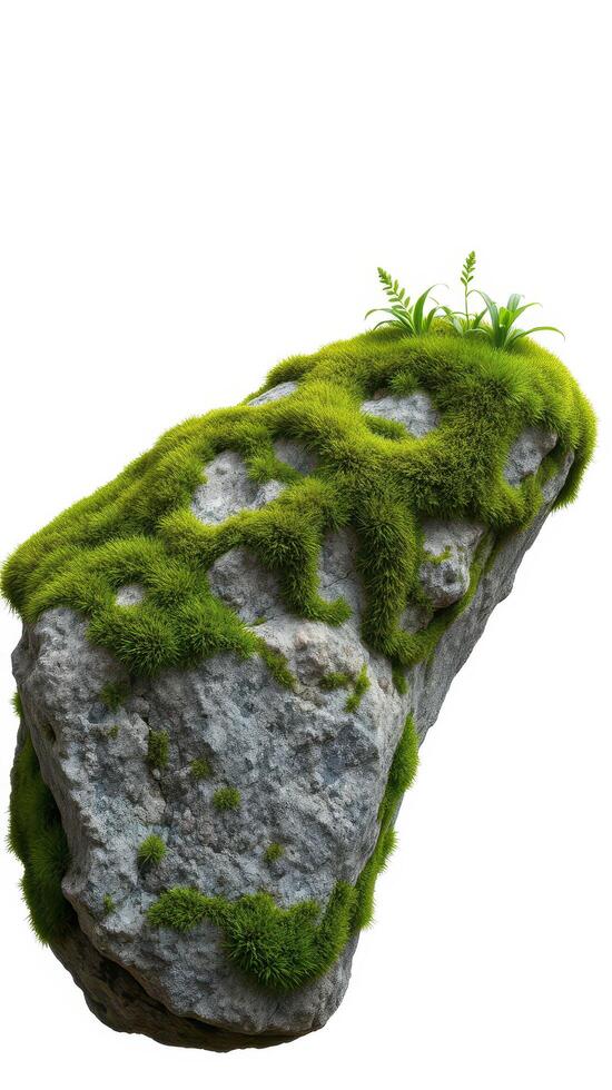 A rock with moss on it and grass growing on it photo