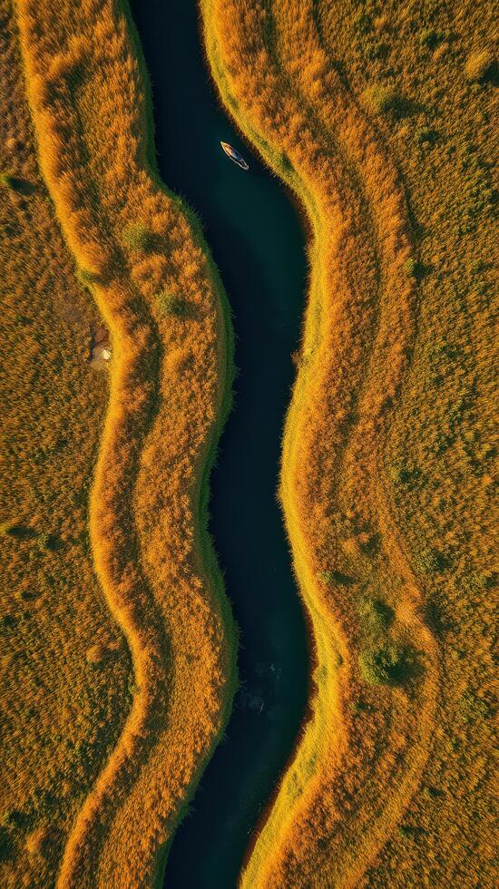 An aerial view of a river flowing through a field photo